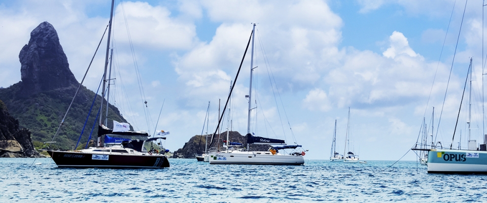 REFENO 2019 - 31ª Regata Recife - Fernando de Noronha